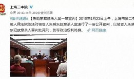 被告人12集在线观看,揭秘真相，悬念迭起的剧情高潮